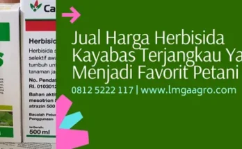 kayabas, kayabas herbisida, harga kayabas, kayabas untuk jagung, Lmga Agro