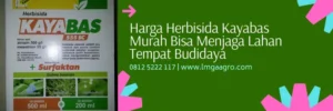 kayabas, kayabas herbisida, harga kayabas, kayabas untuk jagung, Lmga Agro