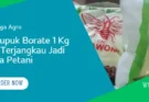 harga pupuk borate, pupuk borat, borat pupuk, harga pupuk borat, Lmga Agro