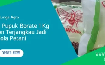 harga pupuk borate, pupuk borat, borat pupuk, harga pupuk borat, Lmga Agro