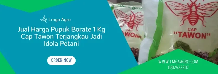 harga pupuk borate, pupuk borat, borat pupuk, harga pupuk borat, Lmga Agro