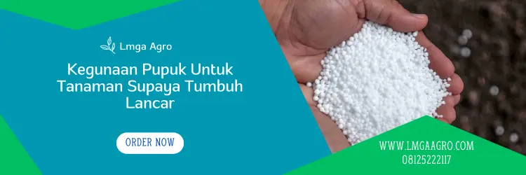 harga pupuk borate, pupuk borat, borat pupuk, harga pupuk borat, Lmga Agro