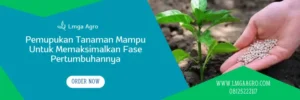 harga pupuk borate, pupuk borat, borat pupuk, harga pupuk borat, Lmga Agro