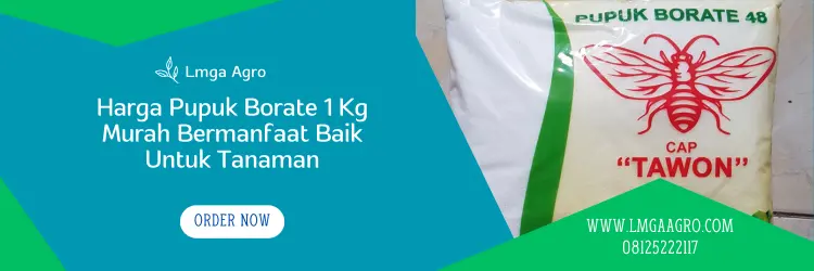 harga pupuk borate, pupuk borat, borat pupuk, harga pupuk borat, Lmga Agro