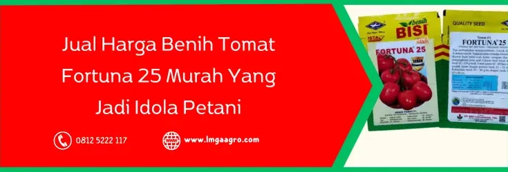 tomat fortuna 25, bibit tomat fortuna 25, harga bibit tomat fortuna 25, bibit tomat terbaik, Lmga Agro