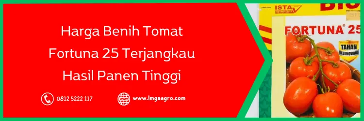 tomat fortuna 25, bibit tomat fortuna 25, harga bibit tomat fortuna 25, bibit tomat terbaik, Lmga Agro