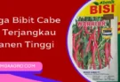 benih cabe warrior, harga benih cabe warrior, bibit cabe merah, bibit cabe merah yang bagus, Lmga Agro