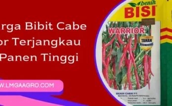 benih cabe warrior, harga benih cabe warrior, bibit cabe merah, bibit cabe merah yang bagus, Lmga Agro