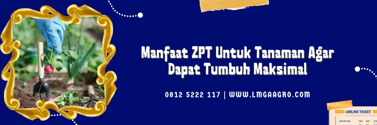 harga zpt bigest, zpt bigest, manfaat bigest 40 ec, bahan aktif bigest 40 ec, Lmga Agro