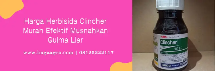 clincher herbisida, harga clincher, bahan aktif herbisida clincher, dosis herbisida clincher, Lmga Agro