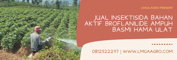 Insektisida bahan aktif broflanilide, insektidiad bahan aktif broflanilida, contok insektisida, merk pestisida, macam pestisida, Lmga Agro