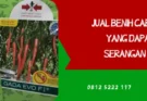 benih cabe gada, bibit cabe gada evo, gada evo, harga benih cabe gada evo, Lmga Agro