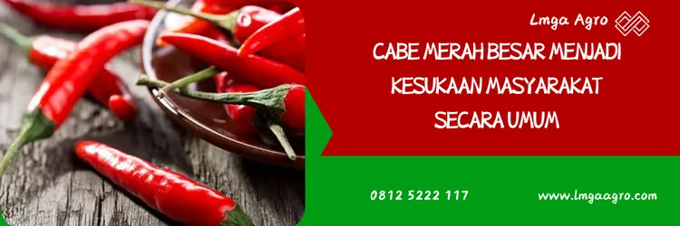 benih cabe gada, bibit cabe gada evo, gada evo, harga benih cabe gada evo, Lmga Agro