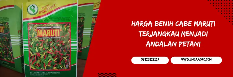 cabe maruti, bibit cabe maruti, harga bibit cabe maruti, bibit cabe rawit terbaik, Lmga Agro