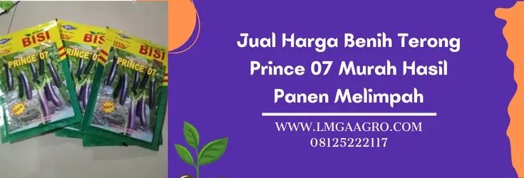 terong prince 07, bibit terong prince 07, keunggulan terong prince 07, bibit terong ungu yang bagus, Lmga Agro