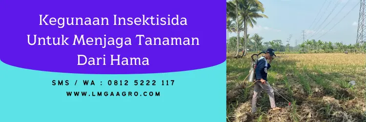 tenchu insektisida, bahan aktif insektisida tenchu, dosis pestisida tenchu, insektisida dinotefuran, Lmga Agro