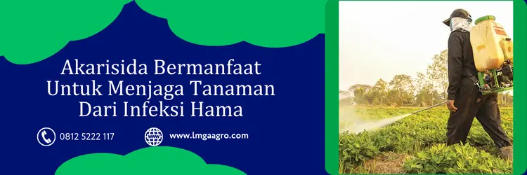 Jual Harga Samite 135 EC Murah Yang Menjadi Andalan Petani | Lmga Agro samite 135, akarisida samite, harga samite, samite bahan aktif, Lmga Agro