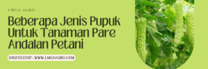 Budidaya pare, jenis pupuk untuk tanaman pare, kebun pare, jarak tanam pare, budidaya tanaman pare, Lmga Agro