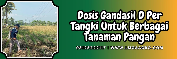 Pupuk gandasil, dosis gandasil d per tangki, manfaat gandasil d, fungsi gandasil d, budidaya tanaman, Lmga Agro