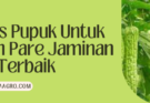 Budidaya pare, jenis pupuk untuk tanaman pare, kebun pare, jarak tanam pare, budidaya tanaman pare, Lmga Agro