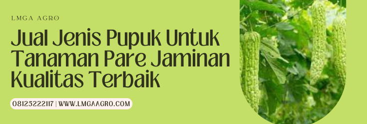 Budidaya pare, jenis pupuk untuk tanaman pare, kebun pare, jarak tanam pare, budidaya tanaman pare, Lmga Agro