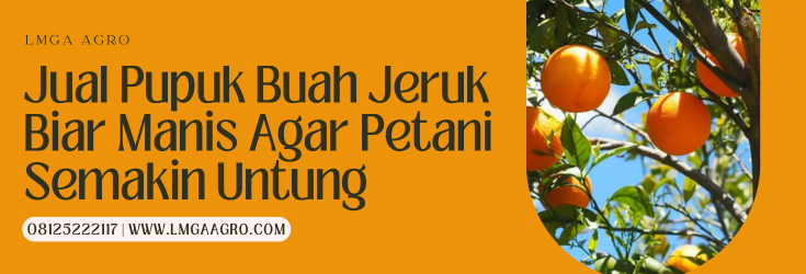 Budidaya jeruk, pupuk buah jeruk biar manis, pupuk pemanis buah jeruk, dosis pemupukan jeruk, pupuk daun untuk tanaman jeruk, lmga agro