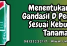 Pupuk gandasil, dosis gandasil d per tangki, manfaat gandasil d, fungsi gandasil d, budidaya tanaman, Lmga Agro