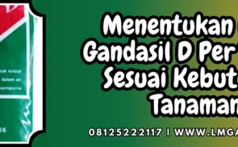 Pupuk gandasil, dosis gandasil d per tangki, manfaat gandasil d, fungsi gandasil d, budidaya tanaman, Lmga Agro