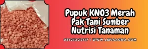 Jenis-jenis pupuk, cara penggunaan pupuk kno3 merah, pupuk kno3 merah, budidaya tanaman, pupuk majemuk, lmga agro