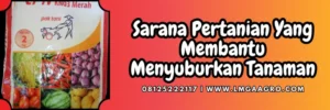 Jenis-jenis pupuk, cara penggunaan pupuk kno3 merah, pupuk kno3 merah, budidaya tanaman, pupuk majemuk, lmga agro