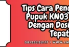 Jenis-jenis pupuk, cara penggunaan pupuk kno3 merah, pupuk kno3 merah, budidaya tanaman, pupuk majemuk, lmga agro