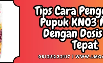 Jenis-jenis pupuk, cara penggunaan pupuk kno3 merah, pupuk kno3 merah, budidaya tanaman, pupuk majemuk, lmga agro