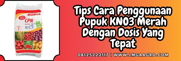 Jenis-jenis pupuk, cara penggunaan pupuk kno3 merah, pupuk kno3 merah, budidaya tanaman, pupuk majemuk, lmga agro