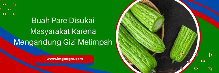 pare raden f1, bibit pare raden f1, harga benih pare, pare raden, Lmga Agro