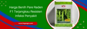pare raden f1, bibit pare raden f1, harga benih pare, pare raden, Lmga Agro