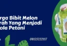 melon alina, benih melon alina, harga benih melon alina f1, harga benih melon alina, Lmga Agro