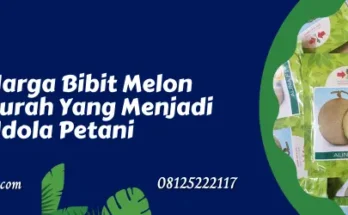 melon alina, benih melon alina, harga benih melon alina f1, harga benih melon alina, Lmga Agro