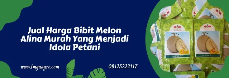 melon alina, benih melon alina, harga benih melon alina f1, harga benih melon alina, Lmga Agro