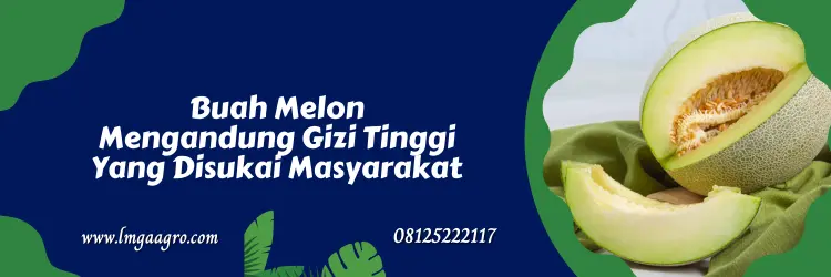 melon alina, benih melon alina, harga benih melon alina f1, harga benih melon alina, Lmga Agro