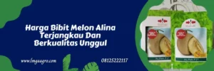 melon alina, benih melon alina, harga benih melon alina f1, harga benih melon alina, Lmga Agro