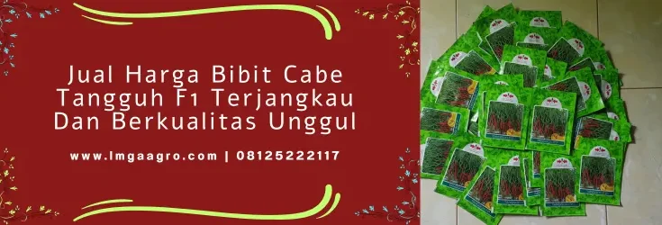 cabe tangguh, harga benih cmk tangguh, harga benih cabe, benih cabe tangguh f1, Lmga Agro