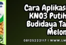 Budidaya melon, pupuk kno putih, fungsi kno3, kno3 pak tani, cara aplikasi pupuk kno3 putih, Lmga Agro