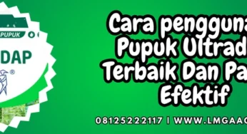 Cara penggunaan Pupuk Ultradap Terbaik Dan Paling Efektif