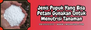 Pupuk mkp pak tani, harga pupuk mkp, budidaya tanaman, kandungan mkp pak tani, mkp pupuk, Lmga Agro