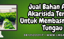 Budidaya tanaman, bahan aktif akarisida terbaik, akarisida terbaik, insektisida akarisida, pestisdia untuk hama tungau, Lmga Agro