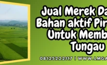 Insektisida akarisida, akarisida terbaik, merek dagang bahan aktif piridaben, insektisida pirdaben, bahan aktif akarisida, Lmga Agro