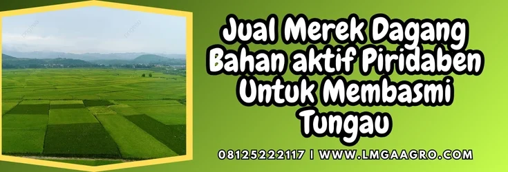 Insektisida akarisida, akarisida terbaik, merek dagang bahan aktif piridaben, insektisida pirdaben, bahan aktif akarisida, Lmga Agro