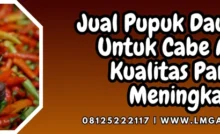 Pupuk untuk cabe baru tanam, pemupukan cabe, pupuk cabe, budidaya cabe, pupuk daun cair untuk cabe, Lmga Agro