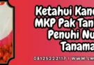 Pupuk mkp pak tani, harga pupuk mkp, budidaya tanaman, kandungan mkp pak tani, mkp pupuk, Lmga Agro