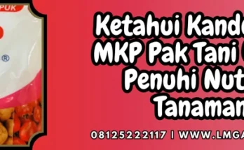 Pupuk mkp pak tani, harga pupuk mkp, budidaya tanaman, kandungan mkp pak tani, mkp pupuk, Lmga Agro